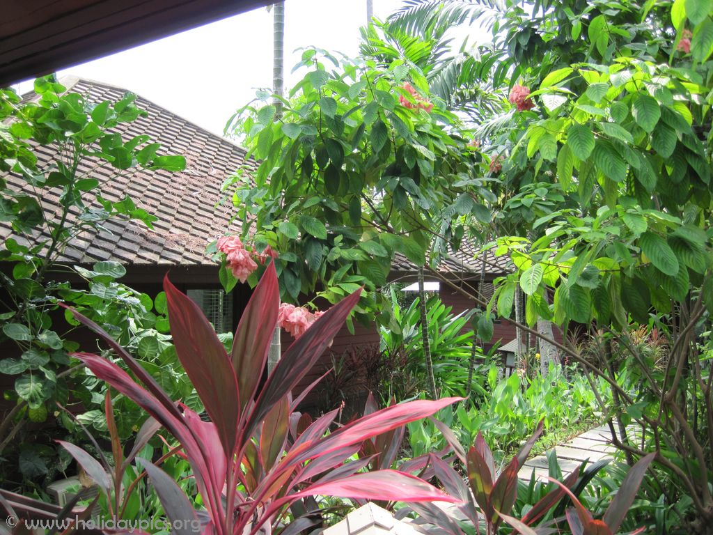 Centara-Villa-Photo-Gallery63
