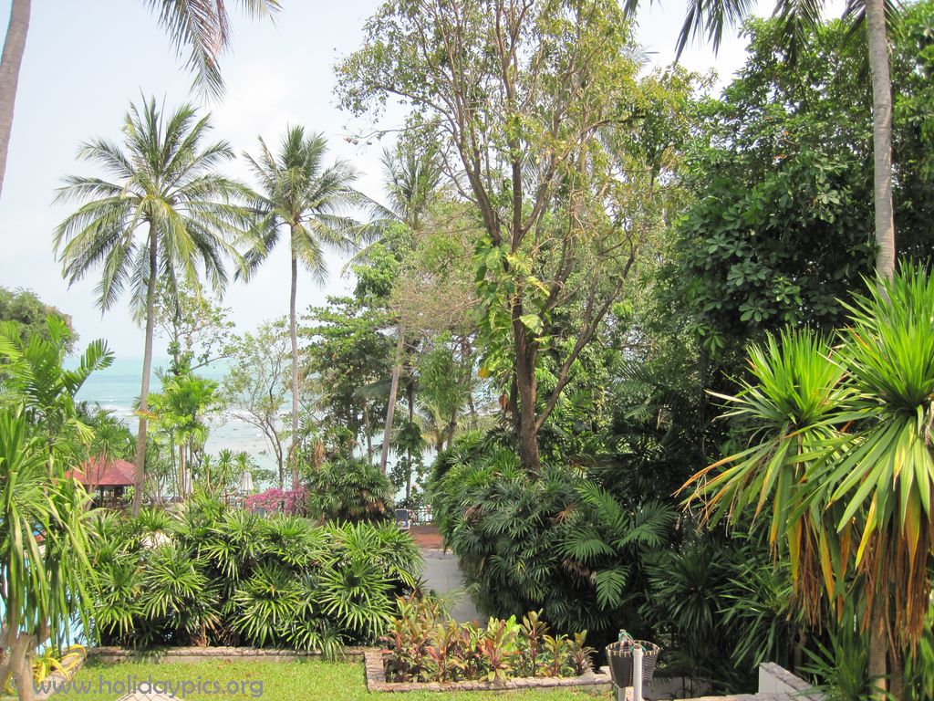 Centara-Villa-Photo-Gallery76
