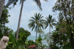 SONY DSC