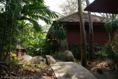 SONY DSC