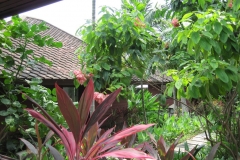 Centara-Villa-Photo-Gallery63