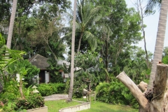 Centara-Villa-Photo-Gallery75