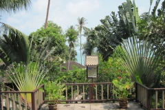 Centara-Villa-Photo-Gallery90