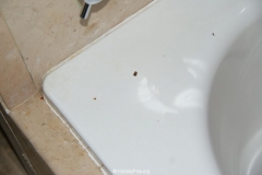 Grand Balisani Suites Seminyak Bali