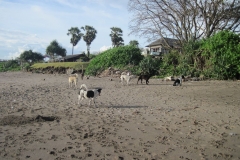 Grand_Balisani_Suites270