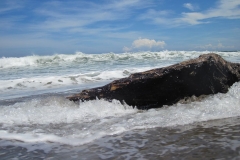 Grand_Balisani_Suites276