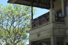 Grand_Balisani_Suites289