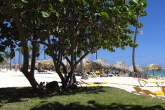 iberostar-bavaro-strand_0149