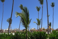 iberostar-bavaro-strand_0161