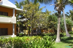 iberostar-bavaro_0162