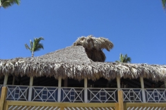 iberostar-bavaro_0178