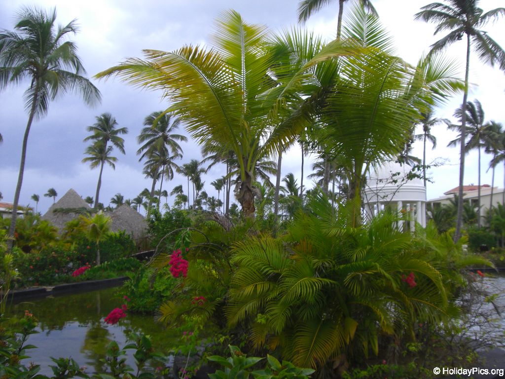 paradisus-palma-real-gartenanlage_4288