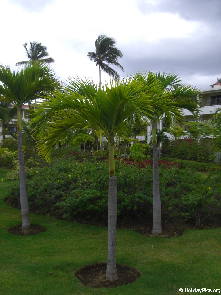 paradisus-palma-real-gartenanlage_4291
