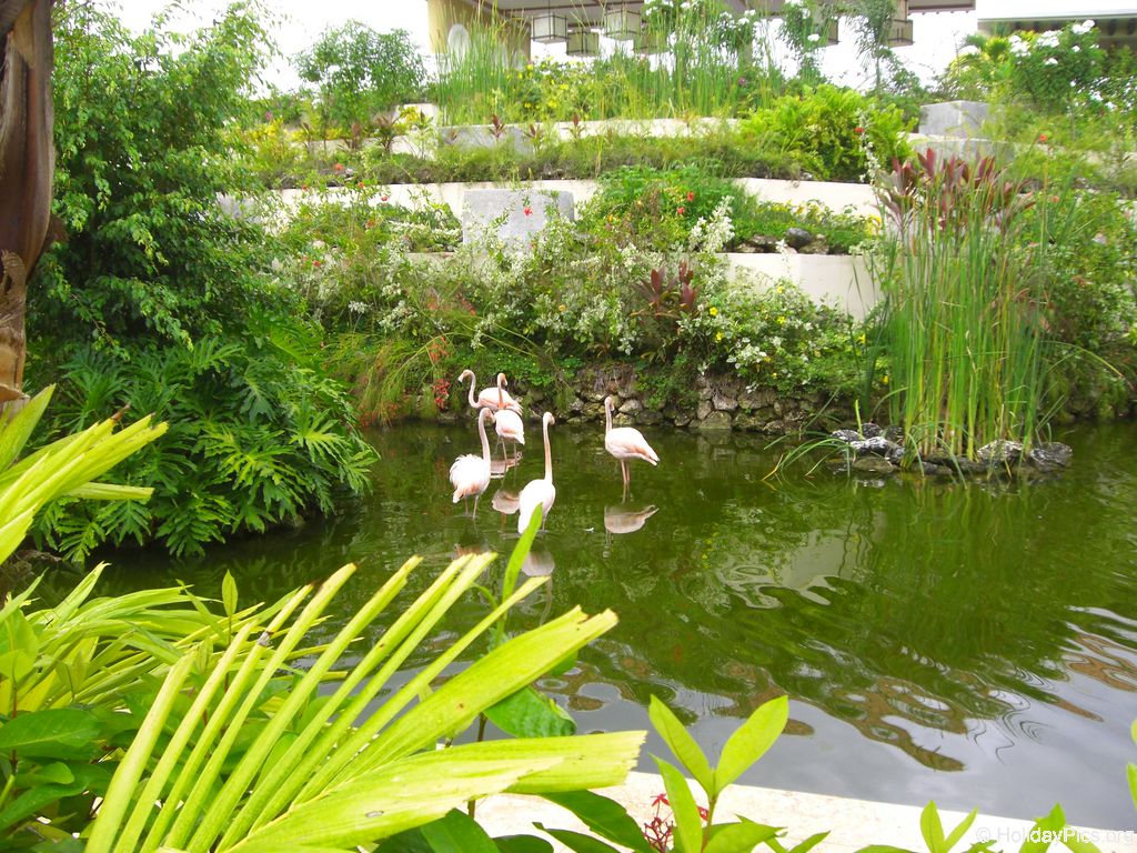 paradisus-palma-real-gartenanlage_4293