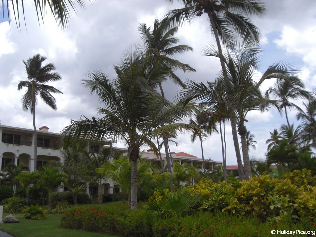 paradisus-palma-real-royalbereich_4337