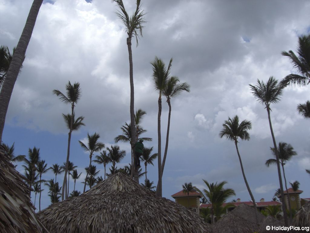 paradisus-palma-real-verschiedenes_4398