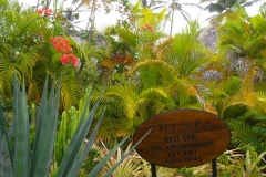 paradisus-palma-real-gartenanlage_4290