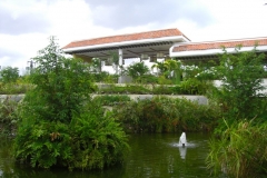 paradisus-palma-real-gartenanlage_4292