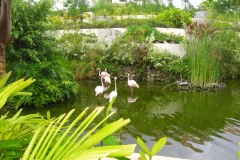 paradisus-palma-real-gartenanlage_4293