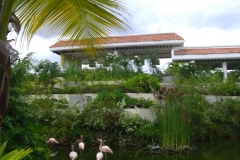 paradisus-palma-real-gartenanlage_4295