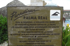 paradisus-palma-real-verschiedenes_4397