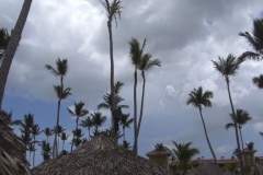 paradisus-palma-real-verschiedenes_4398