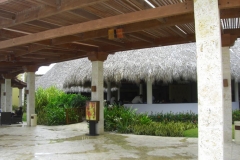 paradisus-palma-real-verschiedenes_4431