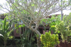 Imperial_Boat_House_Hotel_Foto115