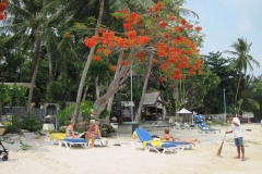 Centara-Villa-Samui-Strand44