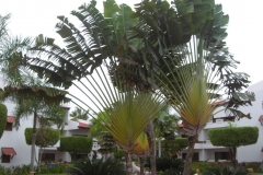 occidental-grand-punta-cana-gebaeude_2813