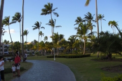 ocean-sand-golf-resort_339