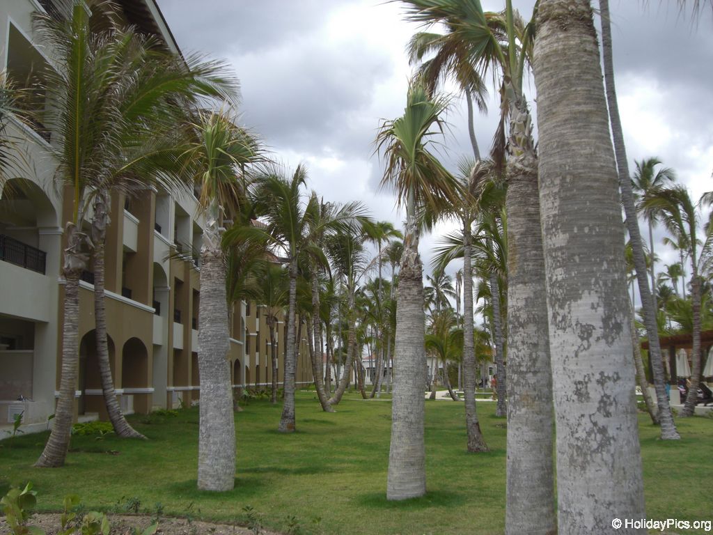 edenh-real-arena-punta-cana-hotelgebaeude_4115