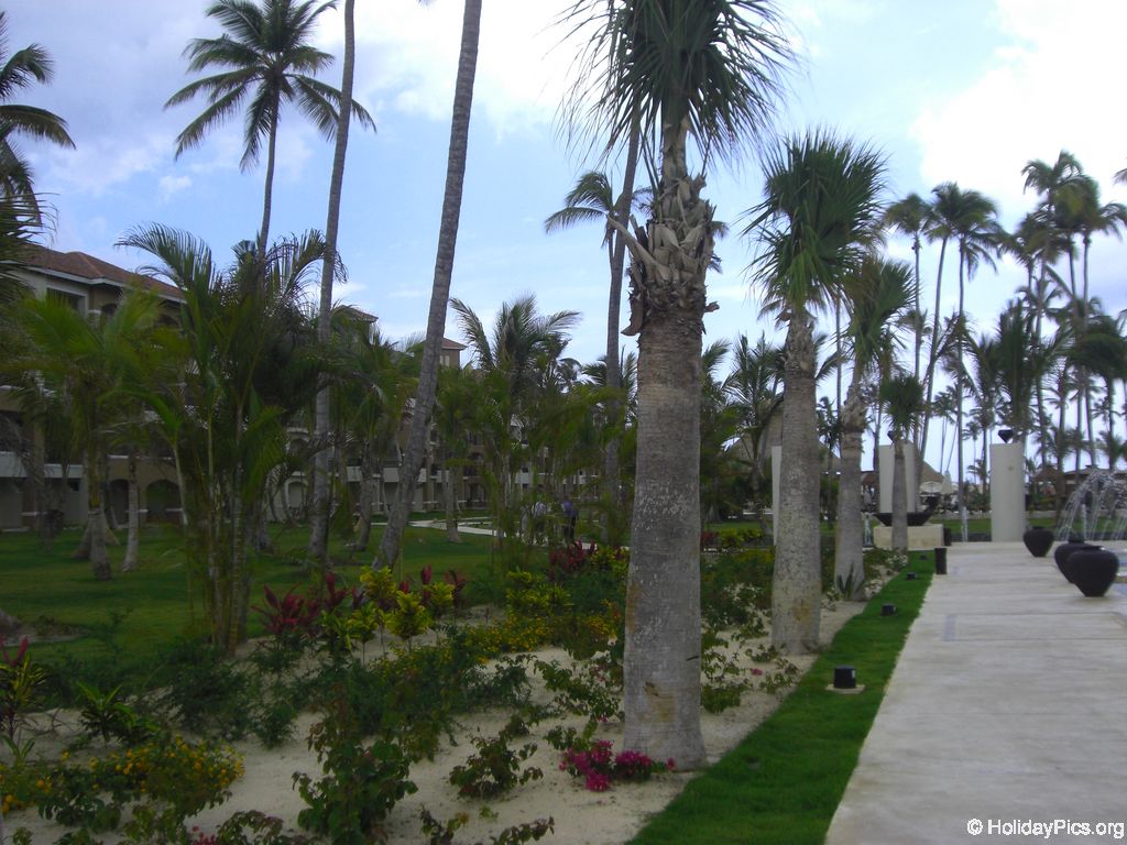 edenh-real-arena-punta-cana-hotelgebaeude_4128