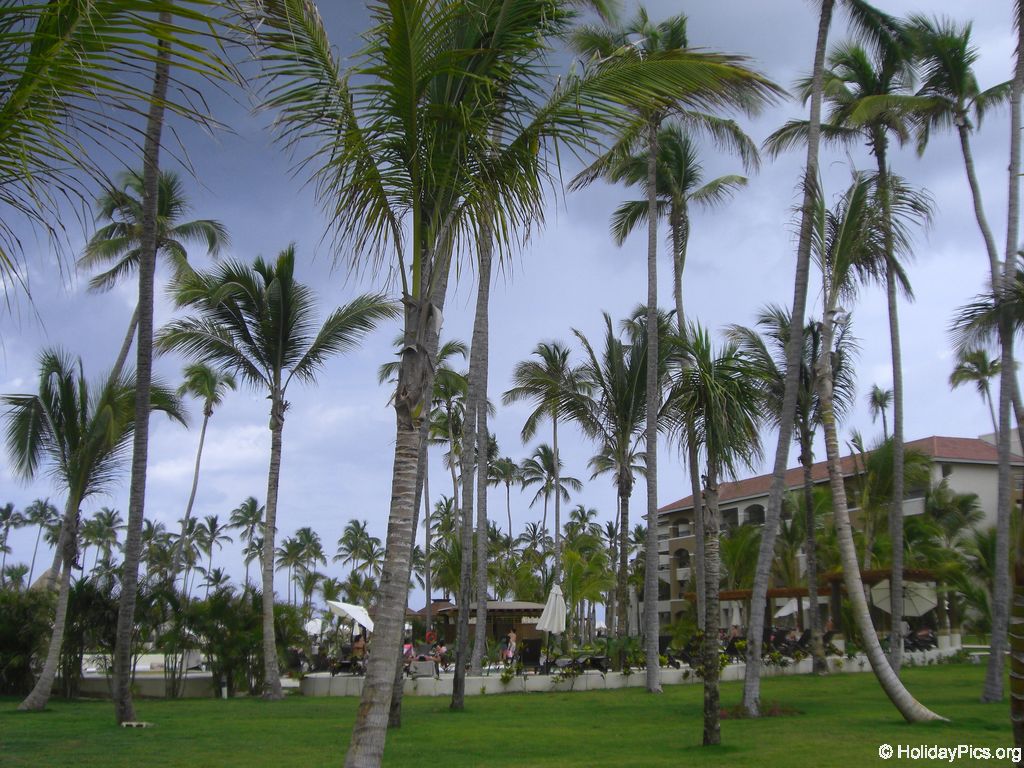 edenh-real-arena-punta-cana-hotelgebaeude_4134