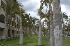 edenh-real-arena-punta-cana-hotelgebaeude_4115