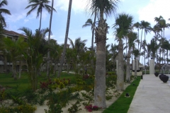 edenh-real-arena-punta-cana-hotelgebaeude_4128