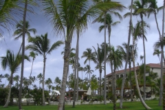 edenh-real-arena-punta-cana-hotelgebaeude_4134