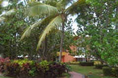 barcelo-dominican-beach-hotelgebaeude_3111
