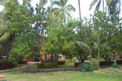 barcelo-dominican-beach-hotelgebaeude_3113