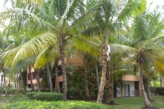 barcelo-dominican-beach-hotelgebaeude_3128