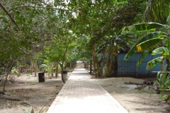 bayahibe_087