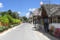 dominicus_115