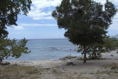 von-bayahibe-nach-dominicus_095