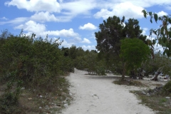 von-bayahibe-nach-dominicus_096