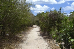 von-bayahibe-nach-dominicus_098
