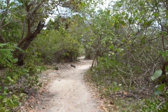 von-bayahibe-nach-dominicus_099