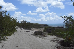 von-bayahibe-nach-dominicus_100