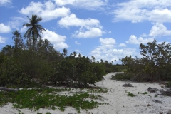 von-bayahibe-nach-dominicus_102