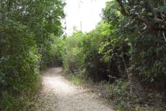 von-bayahibe-nach-dominicus_103