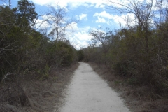 von-bayahibe-nach-dominicus_105